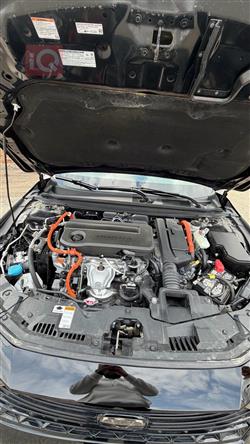 هوندا أكورد